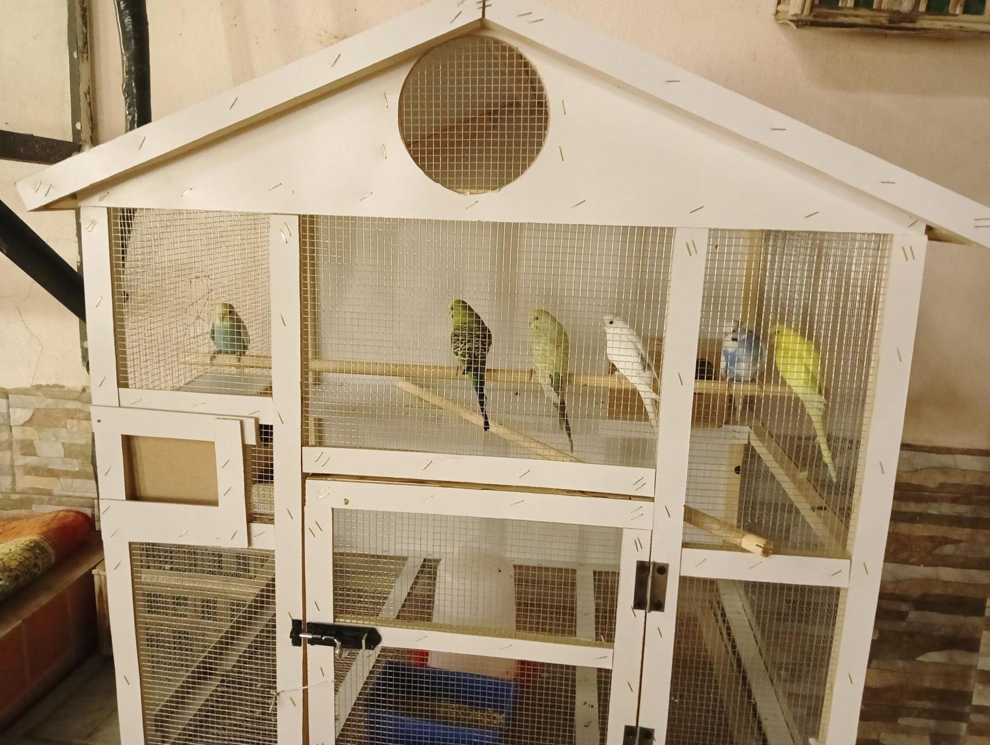Marmara Appartement Médine